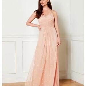 Adrianna Papell Glitter Dot Sheer Halter Neck Sleeveless Blush Pink Gown Size 12